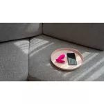 Lovense Flexer Insertable Dual Panty