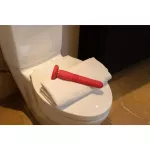 Lovense Gravity Thrusting Dildo