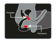 Rocks Off Naughty Boy Prostate