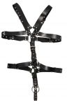 Zado Harness